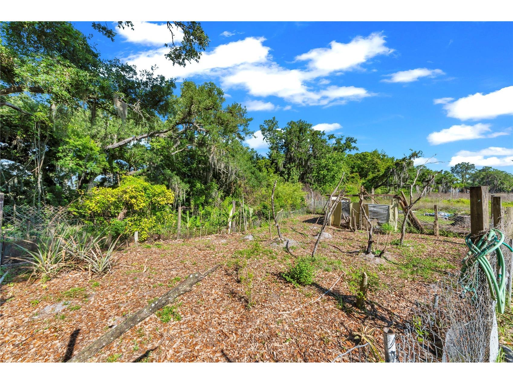 13610 Acker Road Dover FL 33527 TB8508555 image26