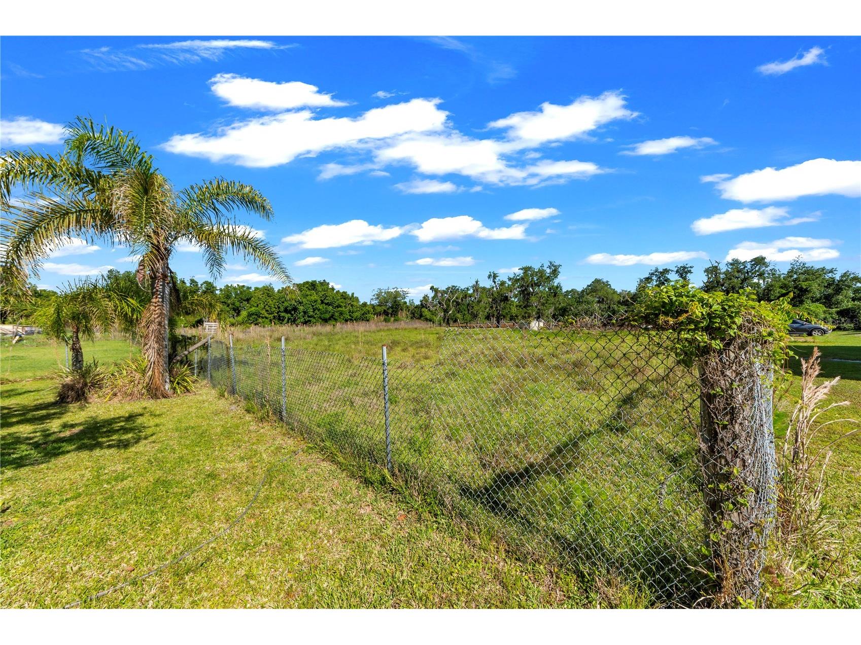 13610 Acker Road Dover FL 33527 TB8508555 image34
