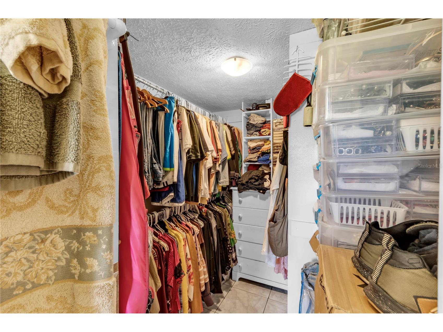 13610 Acker Road Dover FL 33527 TB8508555 image49