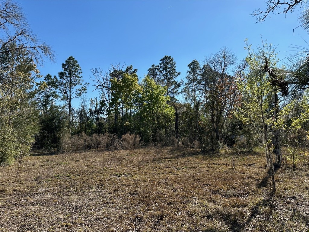 13610 NE 8th Street Williston FL 32696 OM673359 image1