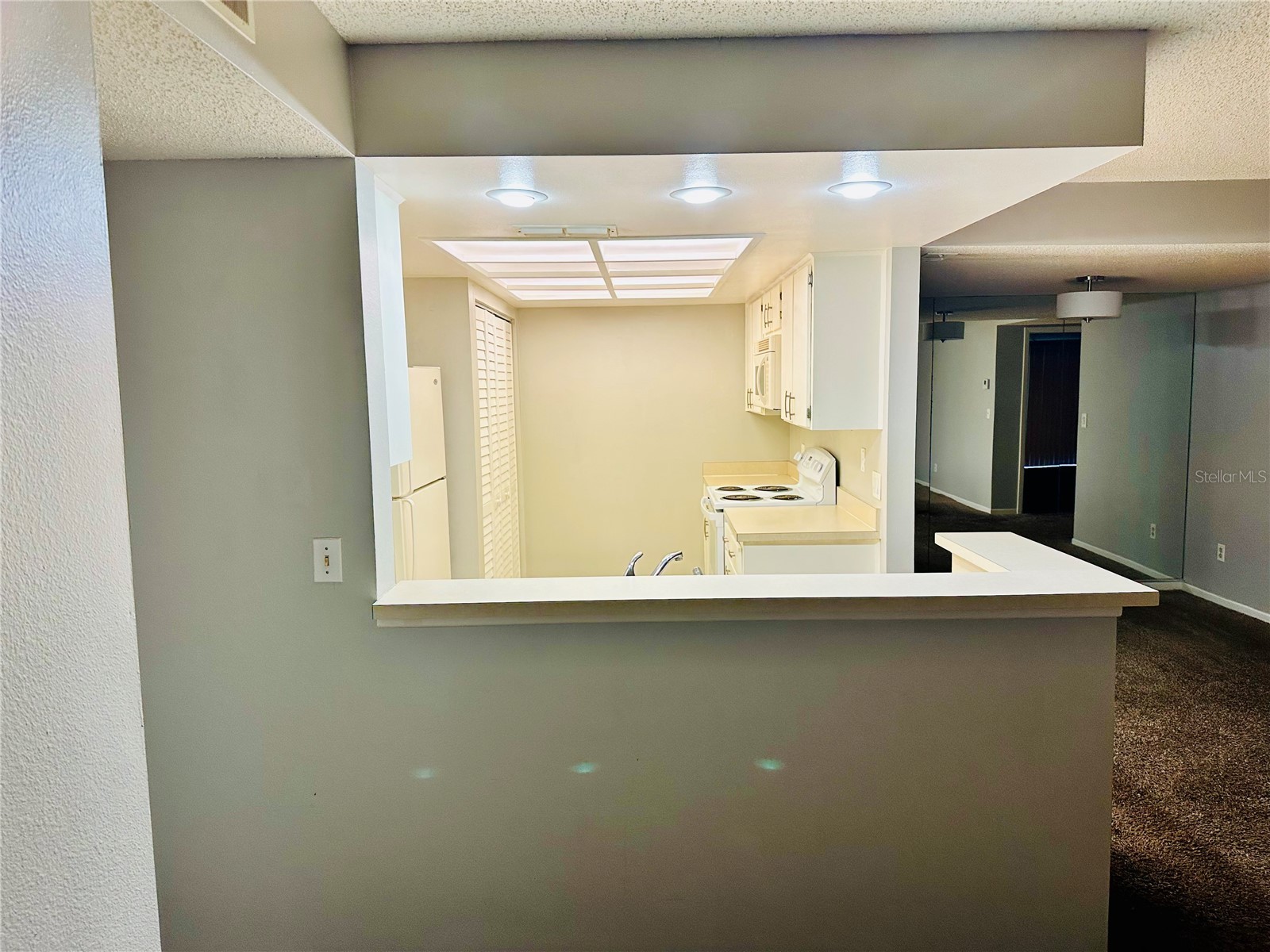 13610 S Village Drive #4111 Tampa FL 33618 TB8495353 image11