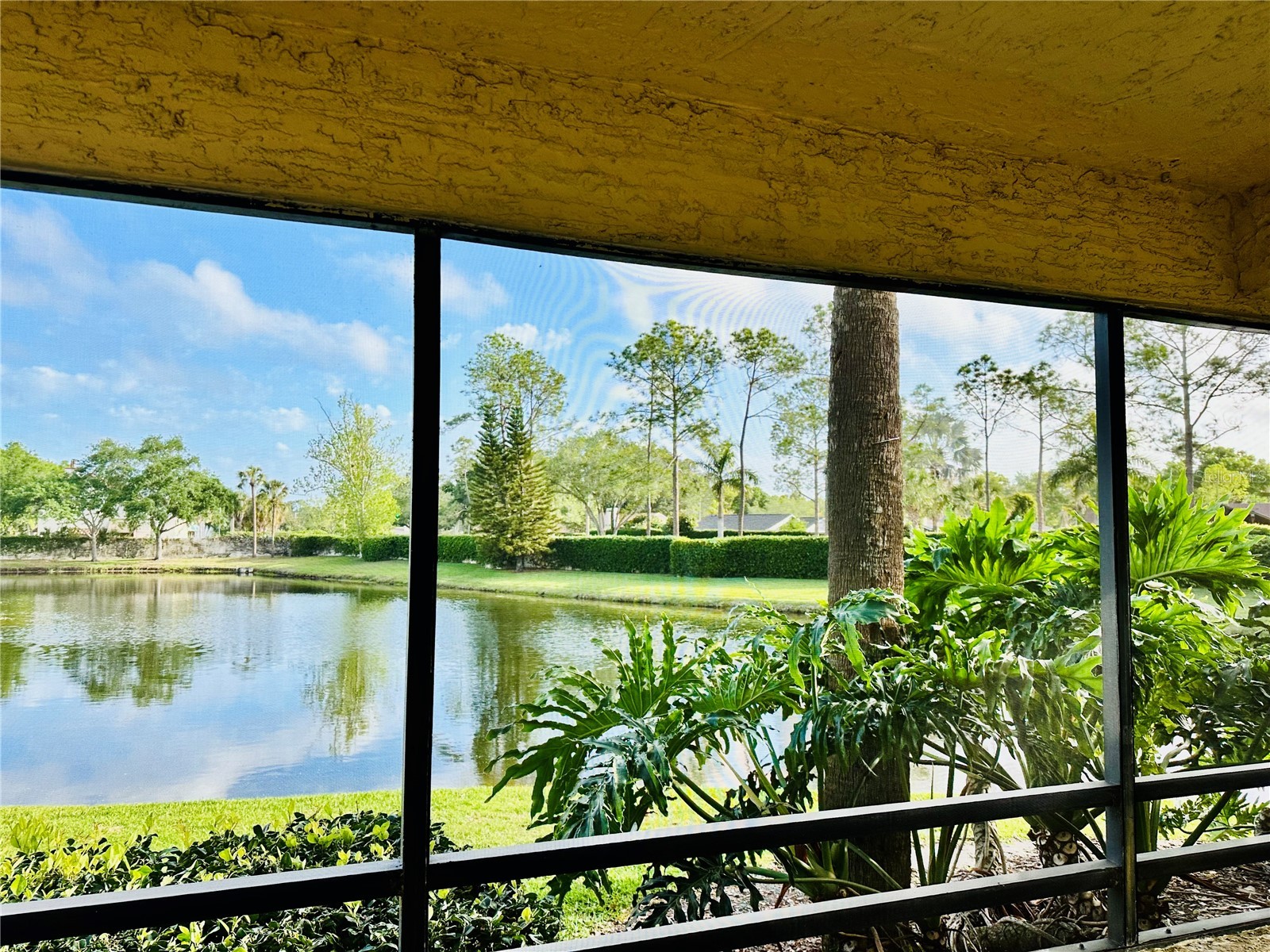 13610 S Village Drive #4111 Tampa FL 33618 TB8495353 image17
