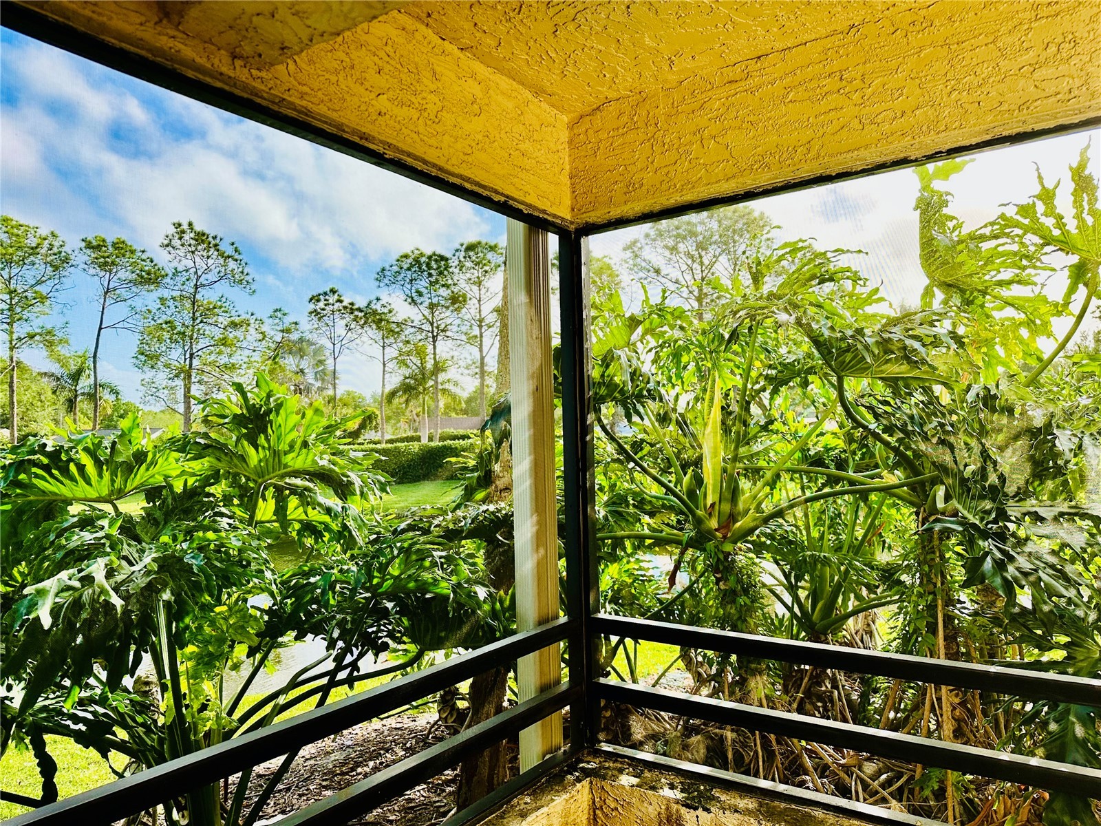 13610 S Village Drive #4111 Tampa FL 33618 TB8495353 image19