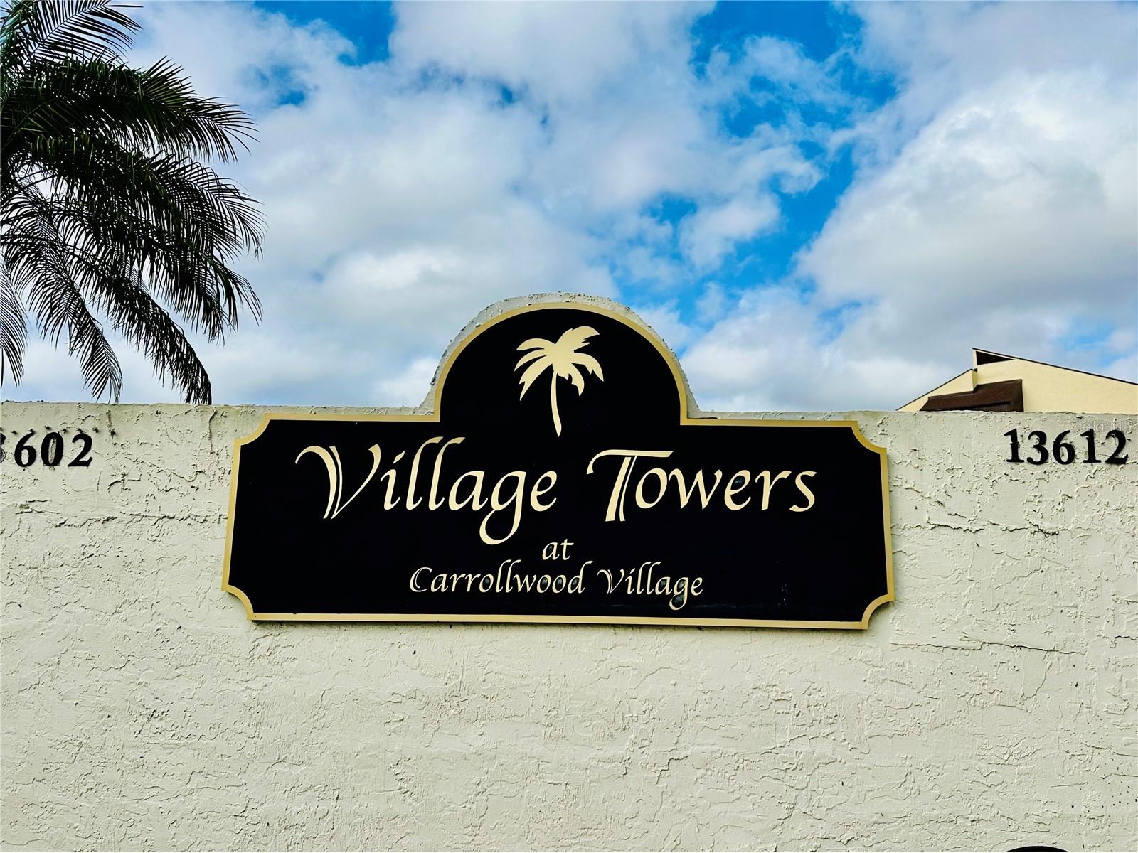 13610 S Village Drive #4111 Tampa FL 33618 TB8495353 image2
