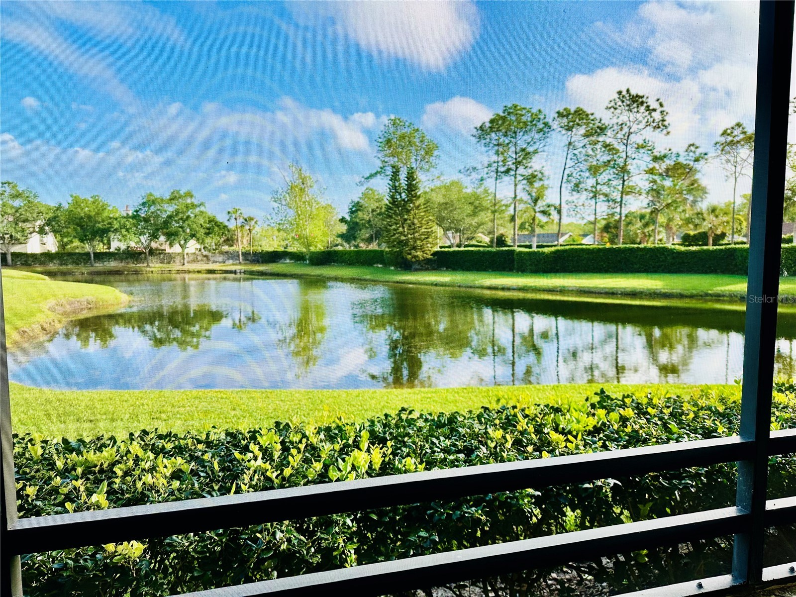 13610 S Village Drive #4111 Tampa FL 33618 TB8495353 image20