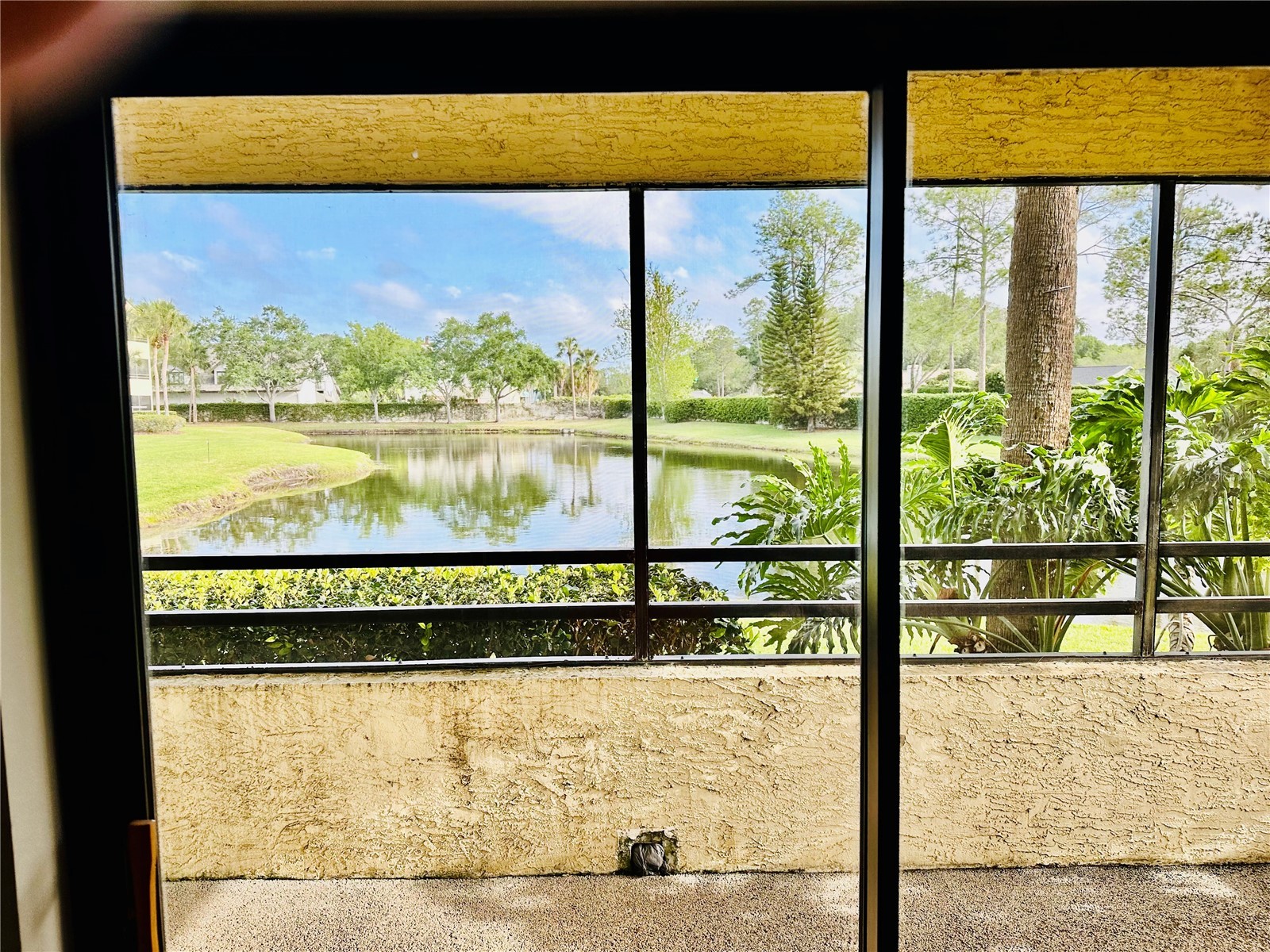 13610 S Village Drive #4111 Tampa FL 33618 TB8495353 image22