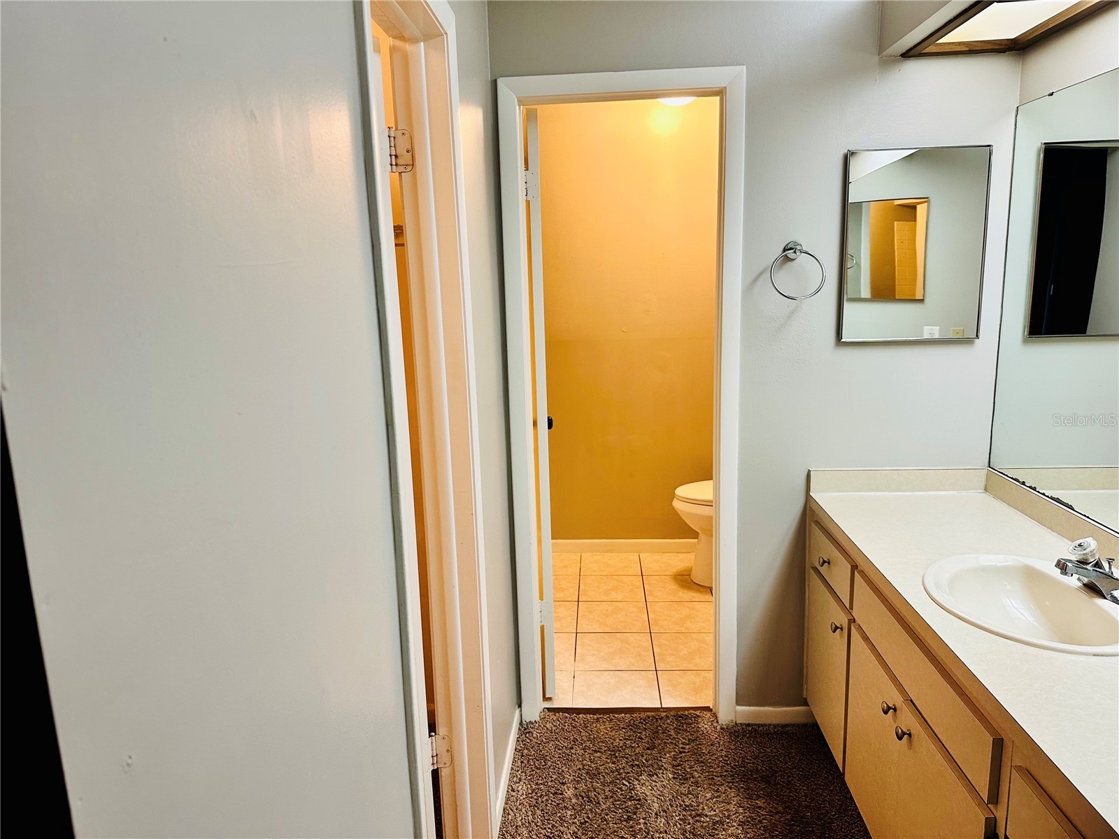 13610 S Village Drive #4111 Tampa FL 33618 TB8495353 image23