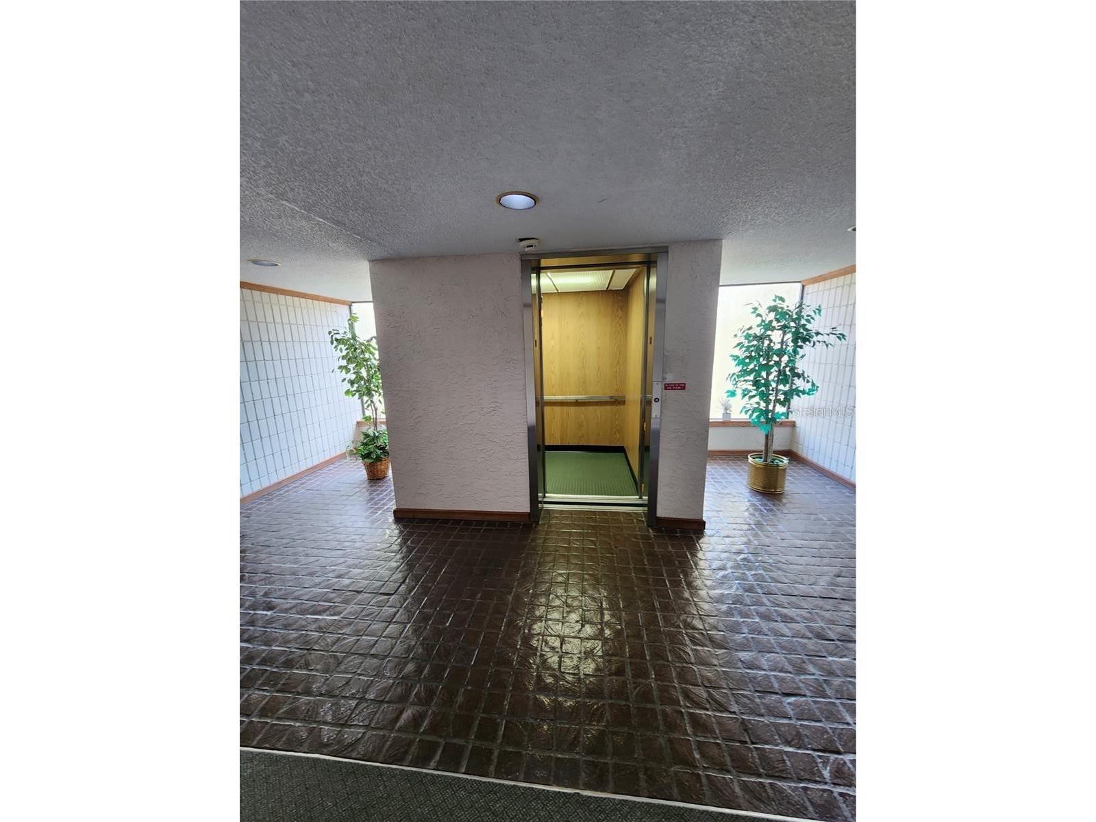 13610 S Village Drive #4303 Tampa FL 33618 TB8507194 image2