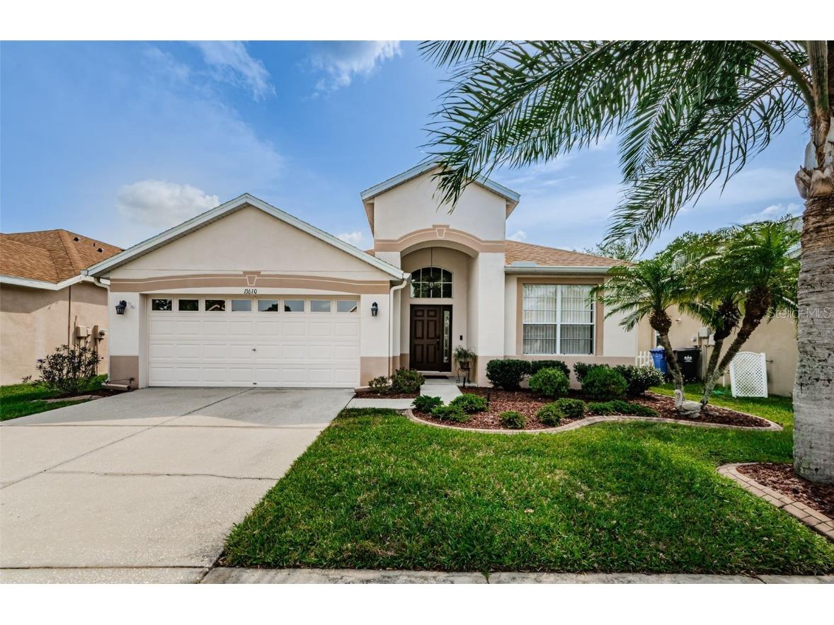 13610 Sigler Street Riverview FL 33579 U8234458 image1