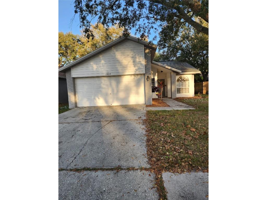 13612 Laraway Drive Riverview FL 33579 U8233779 image1