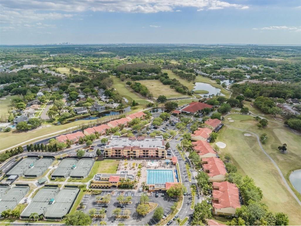 13612 S Village Drive #212 Tampa FL 33618 TB8454146 image46