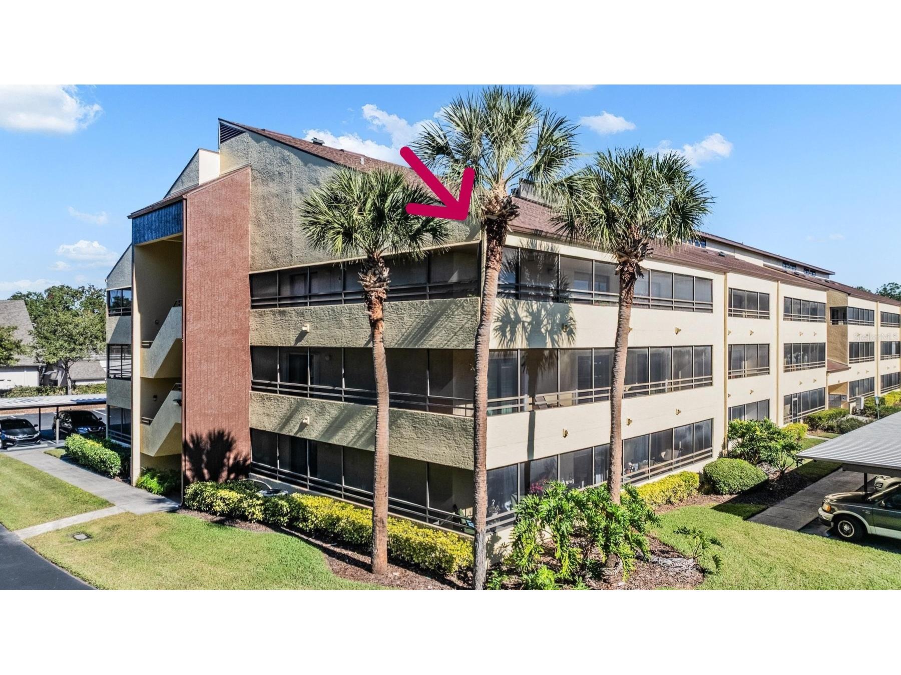 13612 S Village Drive #5212 Tampa FL 33618 TB8454146 image2