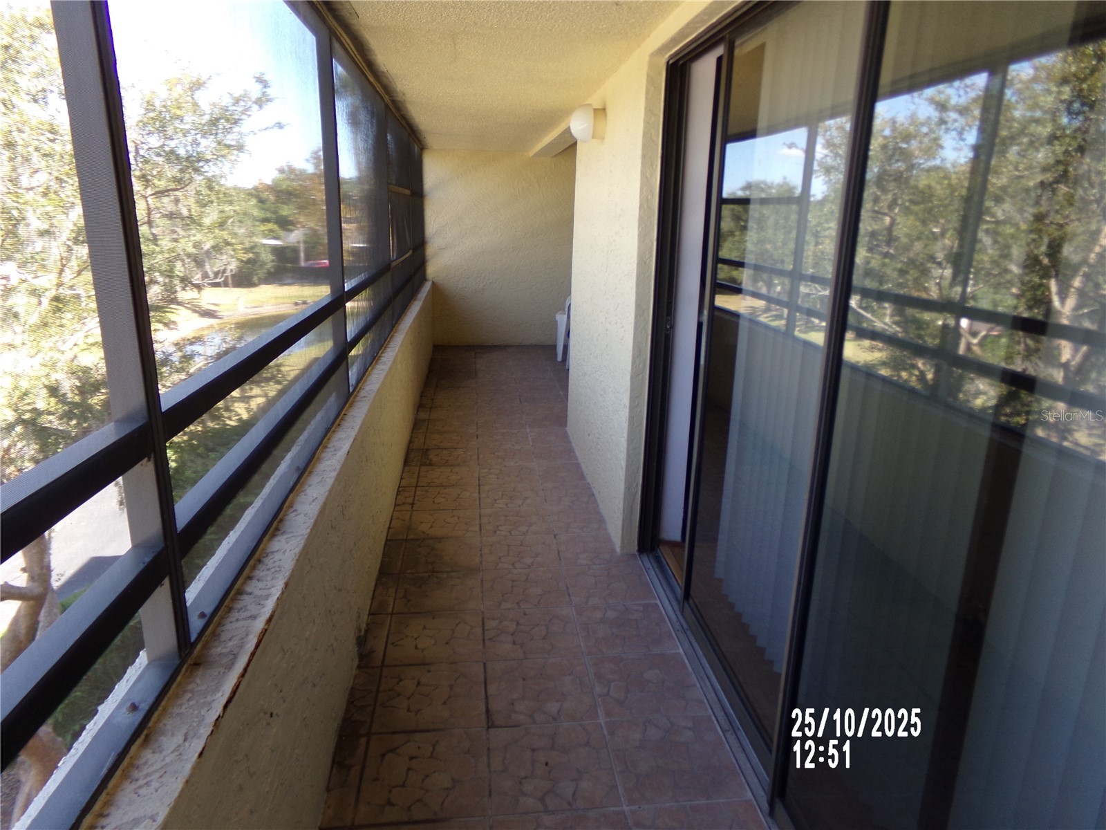 13612 S Village Drive #5307 Tampa FL 33618 TB8441185 image21