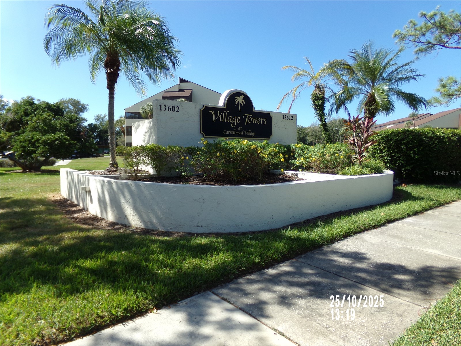 13612 S Village Drive #5307 Tampa FL 33618 TB8441185 image24