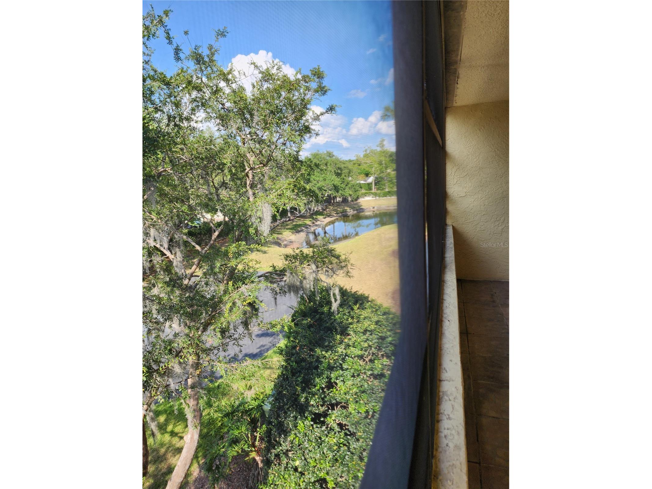 13612 S Village Drive #5307 Tampa FL 33618 TB8441185 image35