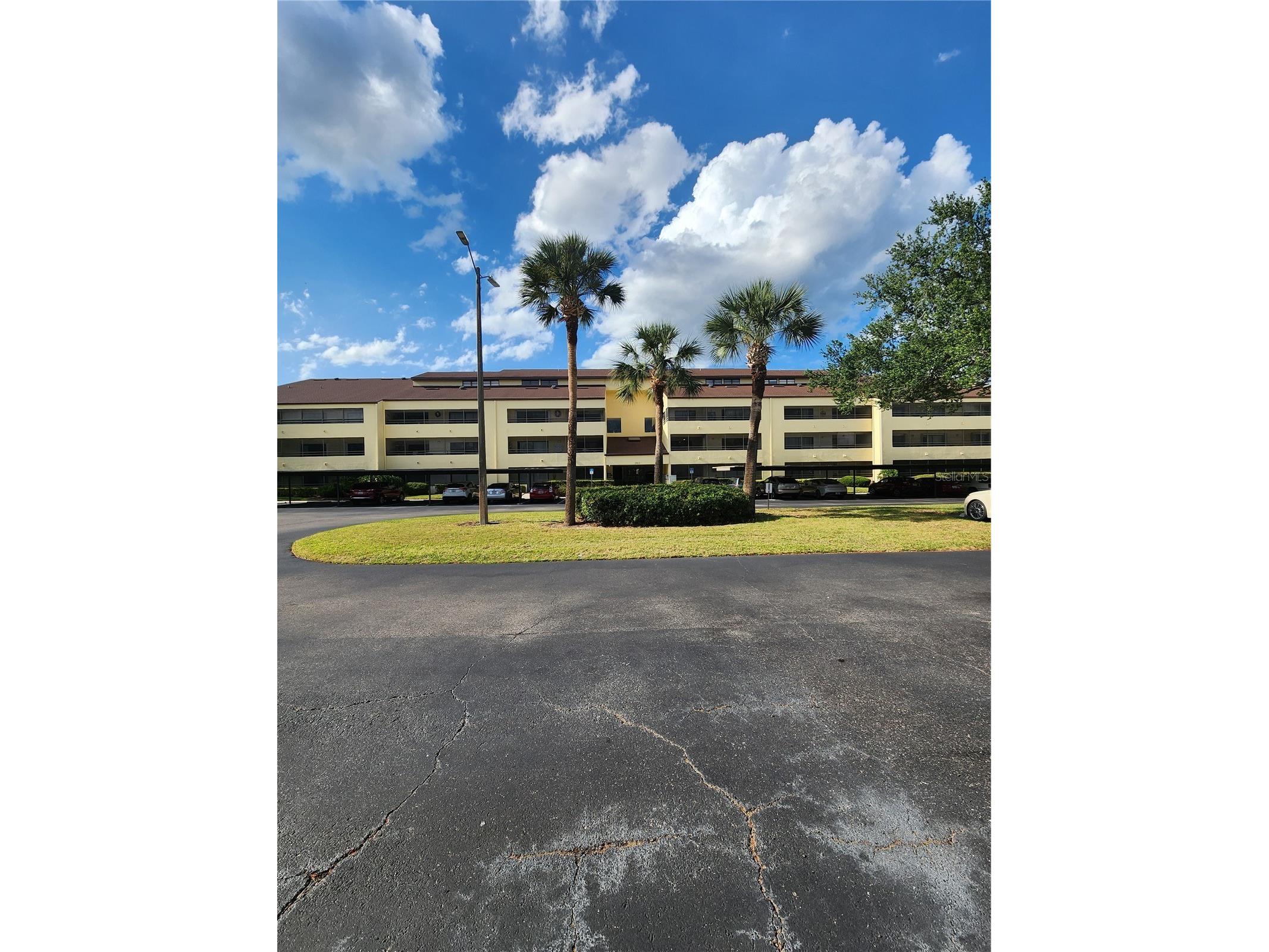 13612 S Village Drive #5307 Tampa FL 33618 TB8441185 image48