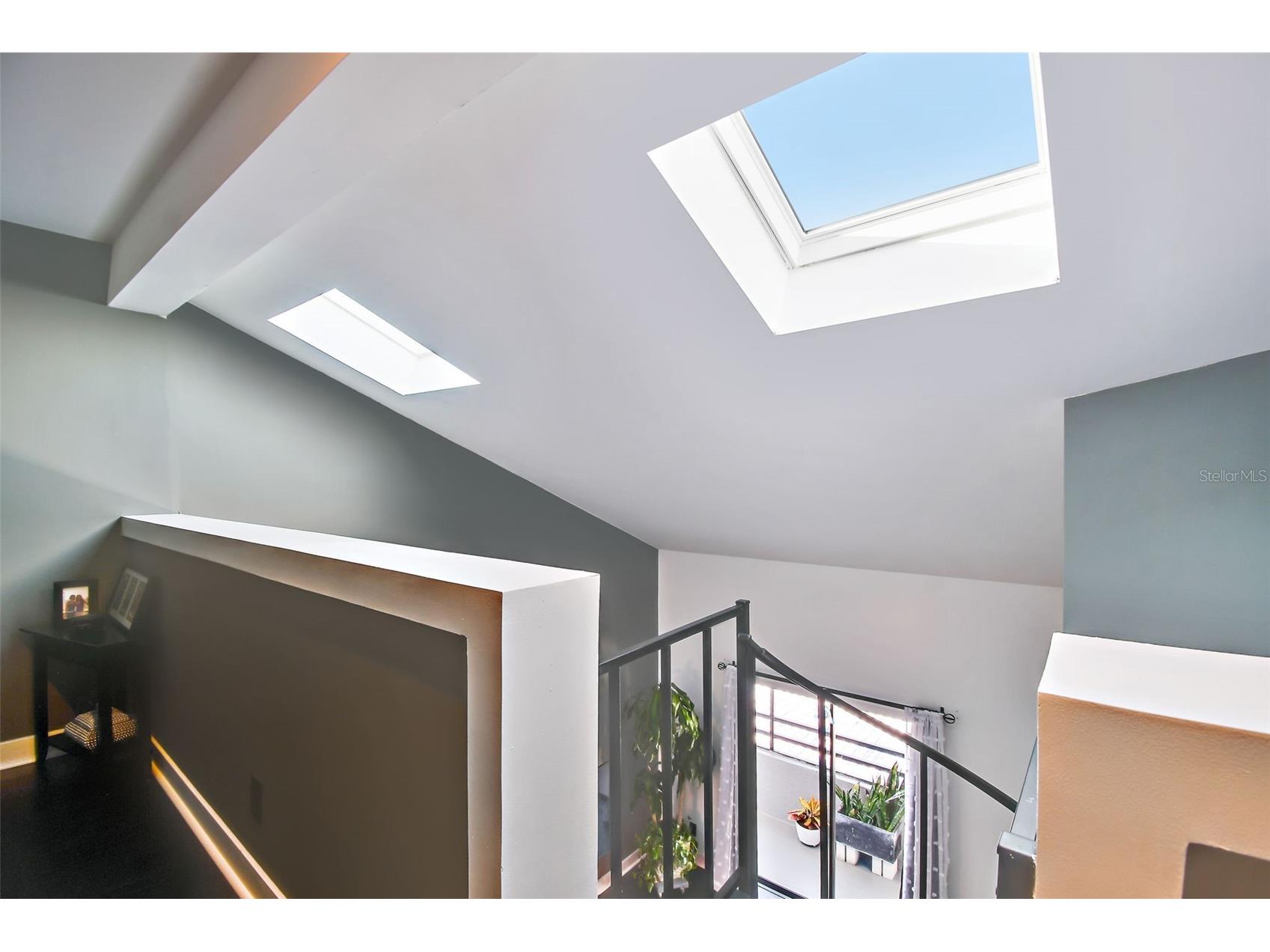 13612 S Village Drive #5311 Tampa FL 33618 TB8429497 image18