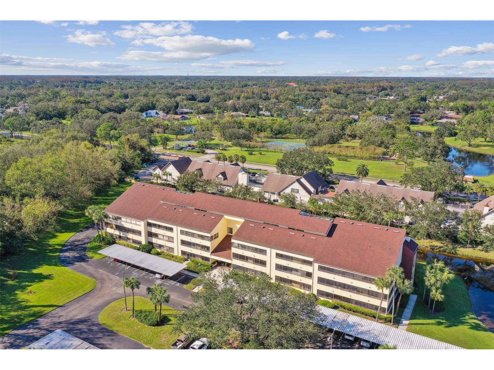 13612 S Village Drive #5311 Tampa FL 33618 TB8429497 image49