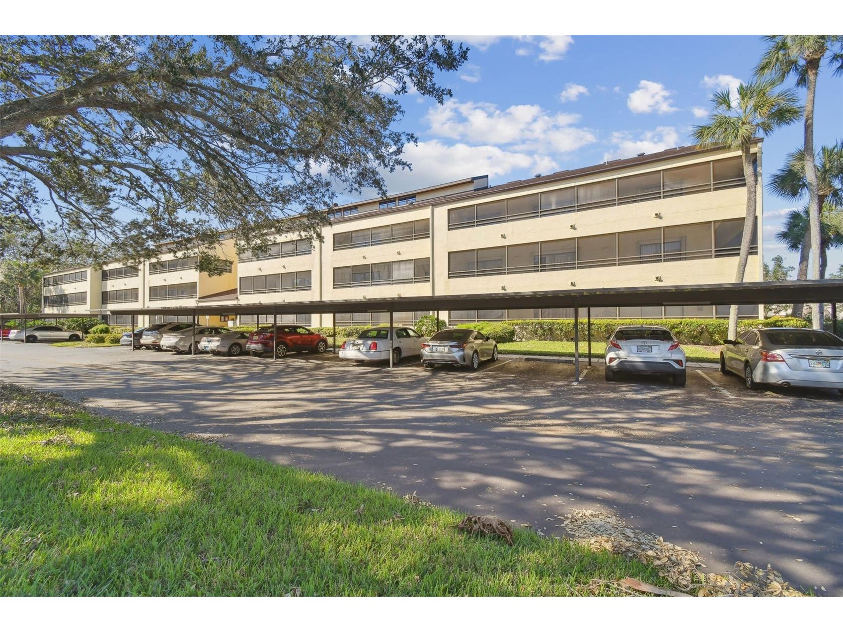 13612 S Village Drive #5311 Tampa FL 33618 TB8429497 image5