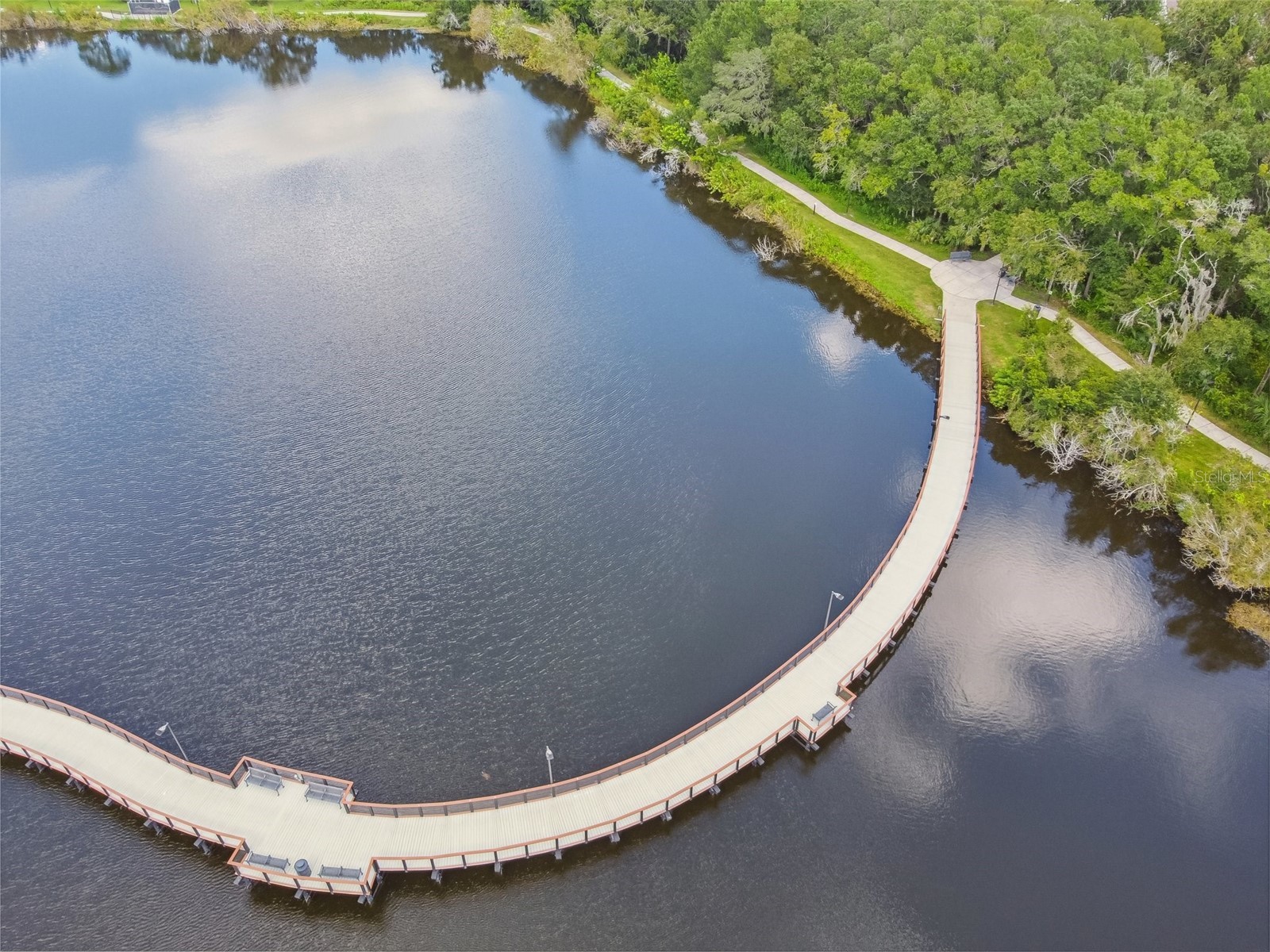 13612 S Village Drive #5311 Tampa FL 33618 TB8429497 image67