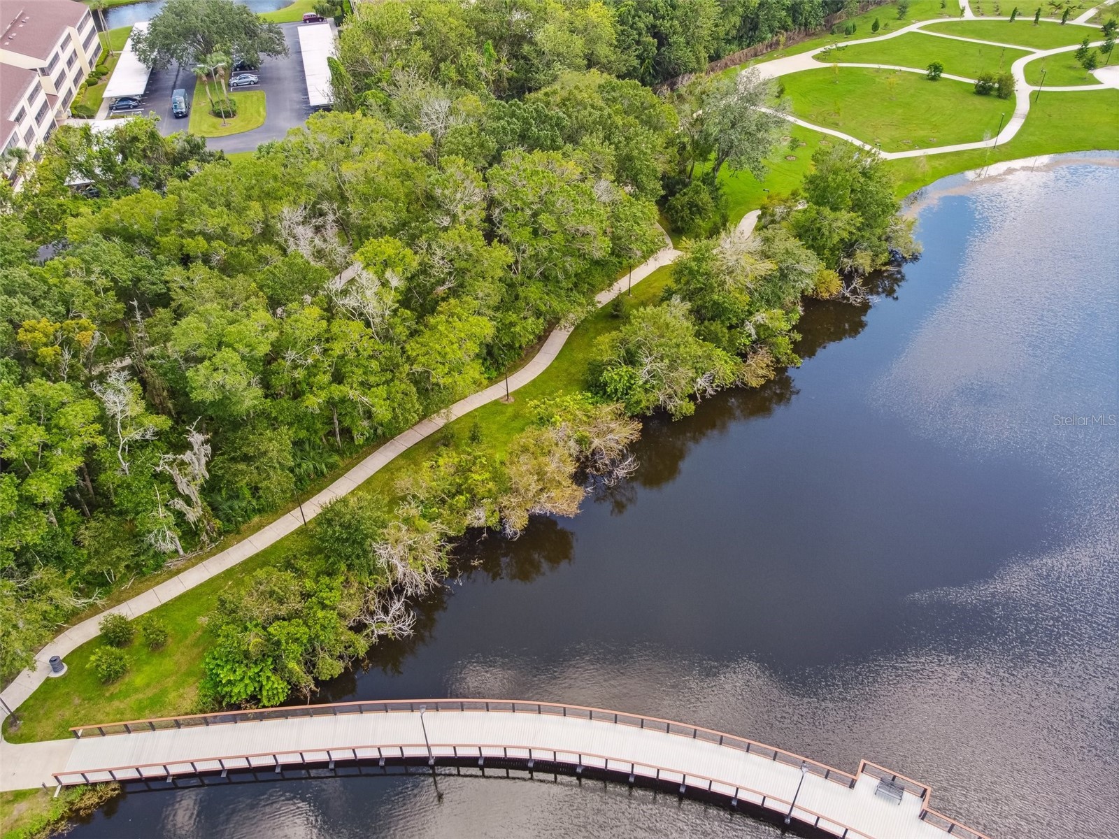 13612 S Village Drive #5311 Tampa FL 33618 TB8429497 image68