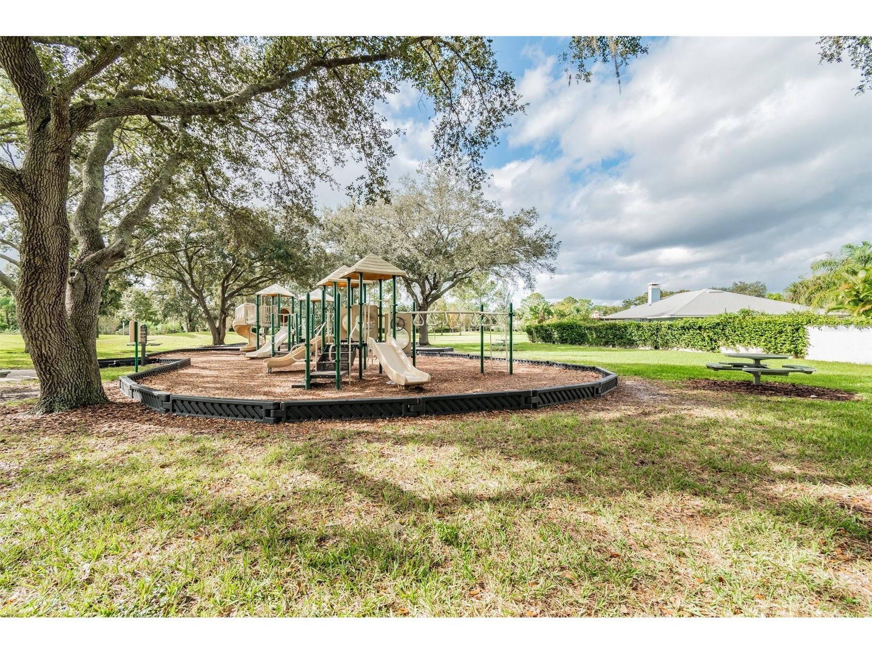 13612 S Village Drive #5311 Tampa FL 33618 TB8429497 image88