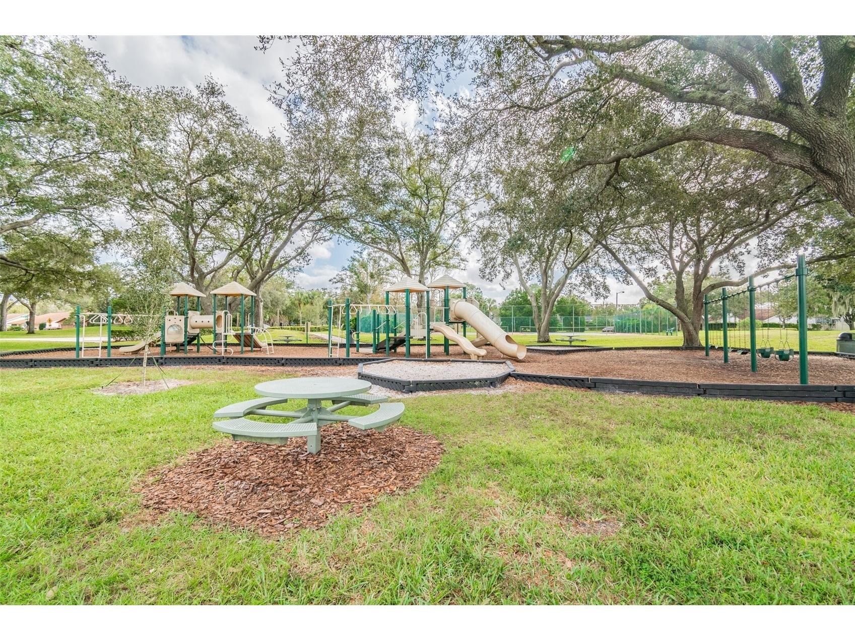 13612 S Village Drive #5311 Tampa FL 33618 TB8429497 image89