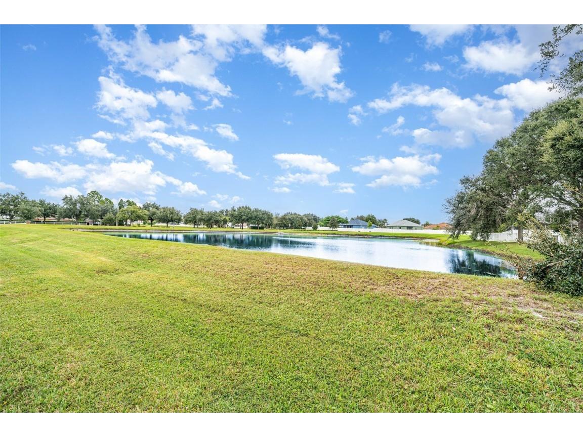 13612 Sigler Street Riverview FL 33579 TB8425278 image30
