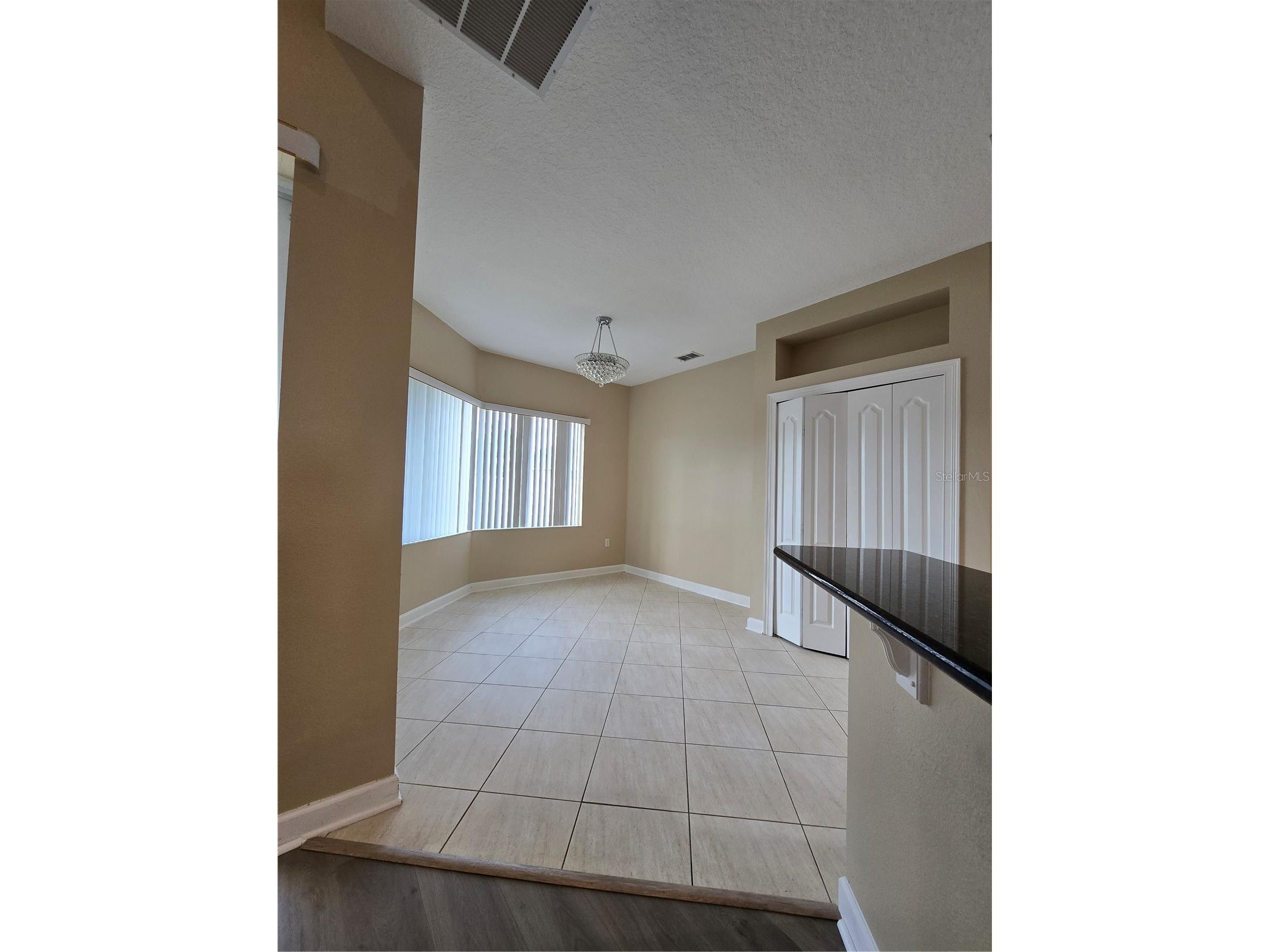 13613 Larsen Lane Winter Garden FL 34787 O6410121 image11