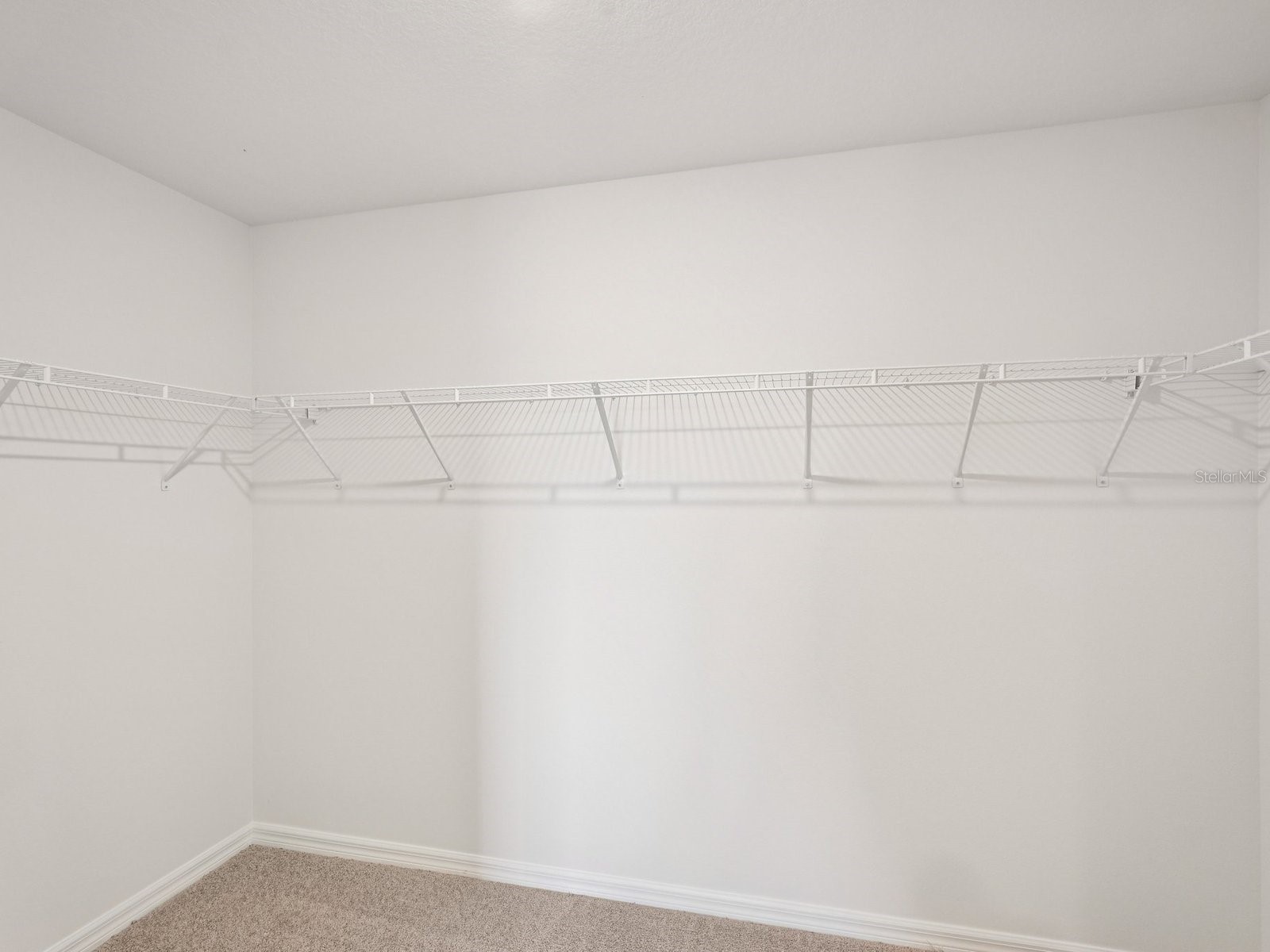 13613 Shellmore Avenue Palmetto FL 34221 TB8484820 image13