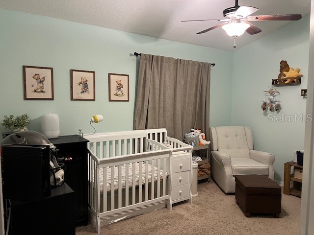 13615 Forest Lake Drive Largo FL 33771 TB8416043 image7