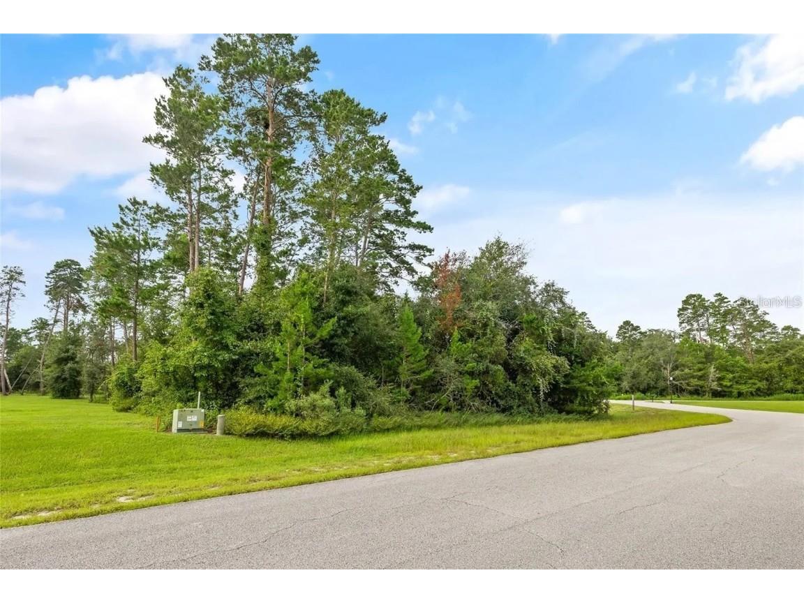 13615 Gopher Pond Ct Hudson FL 34669 TB8387378 image1