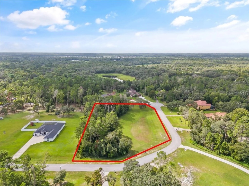 13615 Gopher Pond Ct Hudson FL 34669 TB8387378 image5