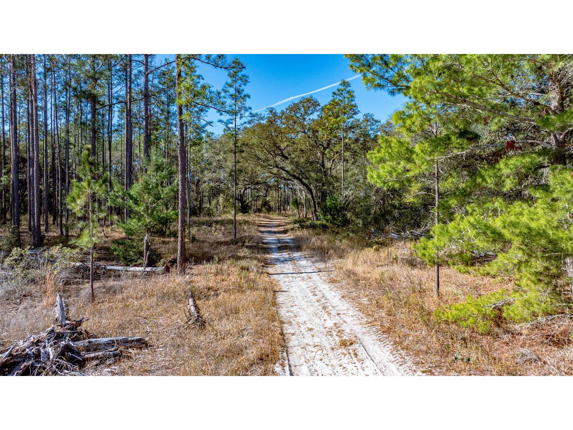 13615 Tyrone Street Hudson FL 34667 O6381472 image11