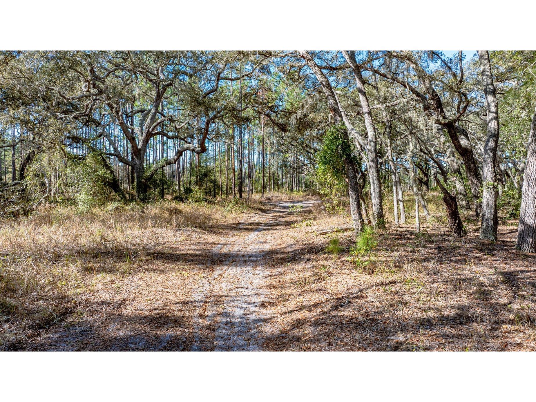13615 Tyrone Street Hudson FL 34667 O6381472 image12