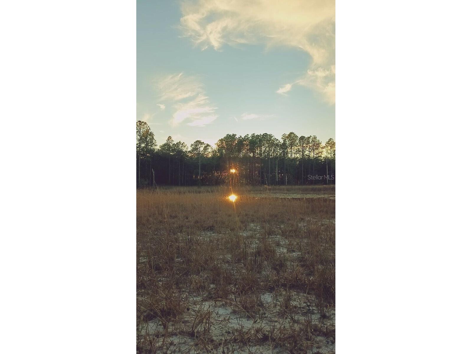 13615 Tyrone Street Hudson FL 34667 O6381472 image19