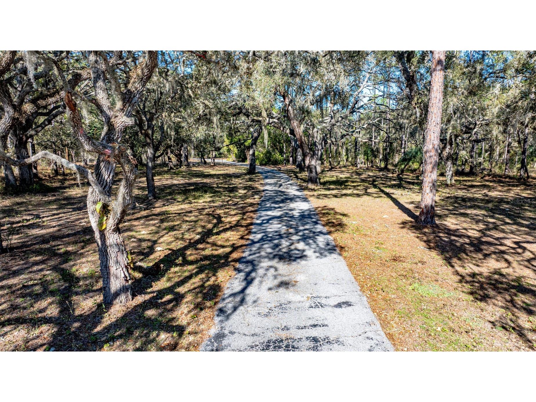 13615 Tyrone Street Hudson FL 34667 O6381472 image5