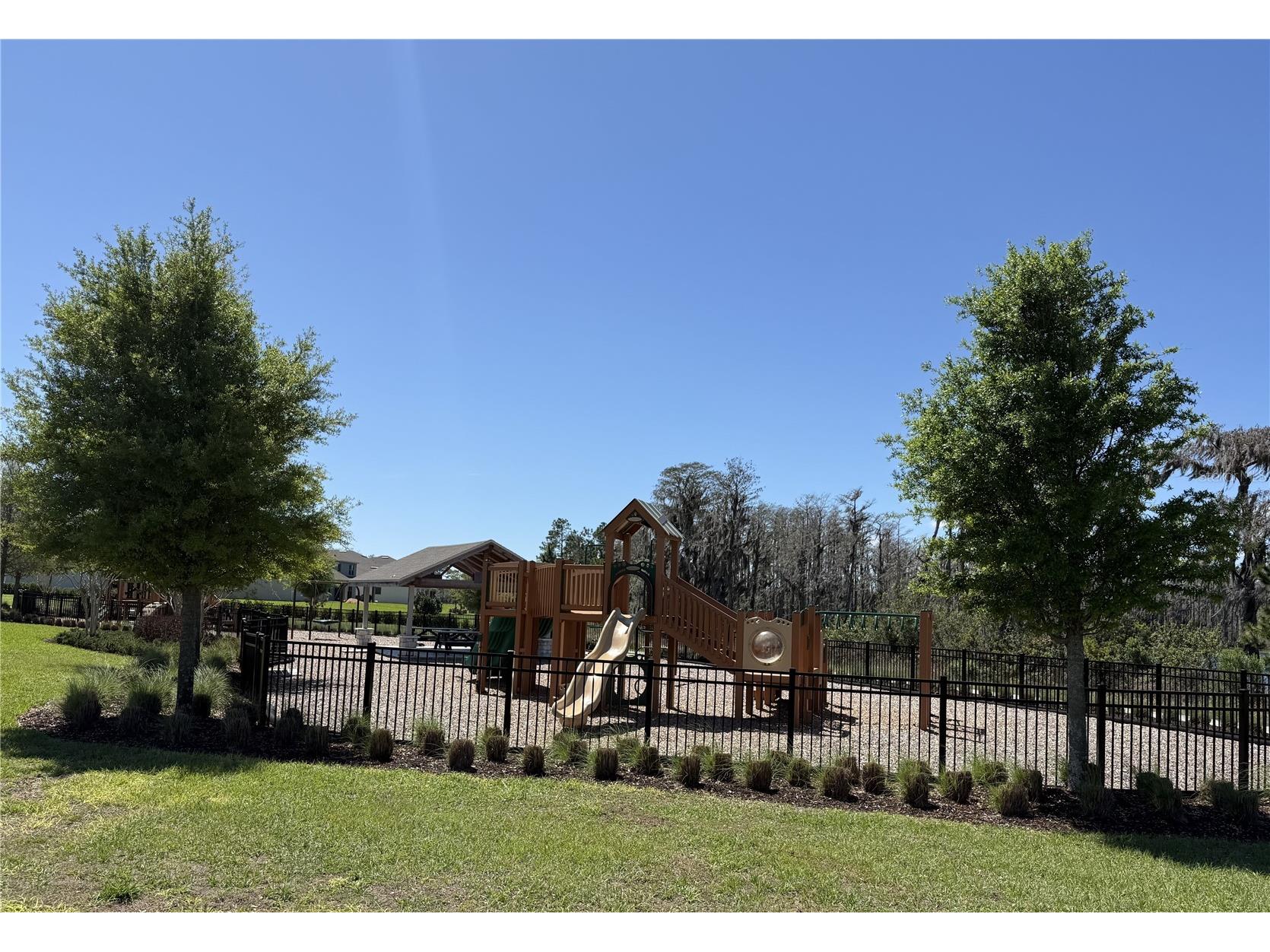 13617 Salamander Street Winter Garden FL 34787 O6391534 image3