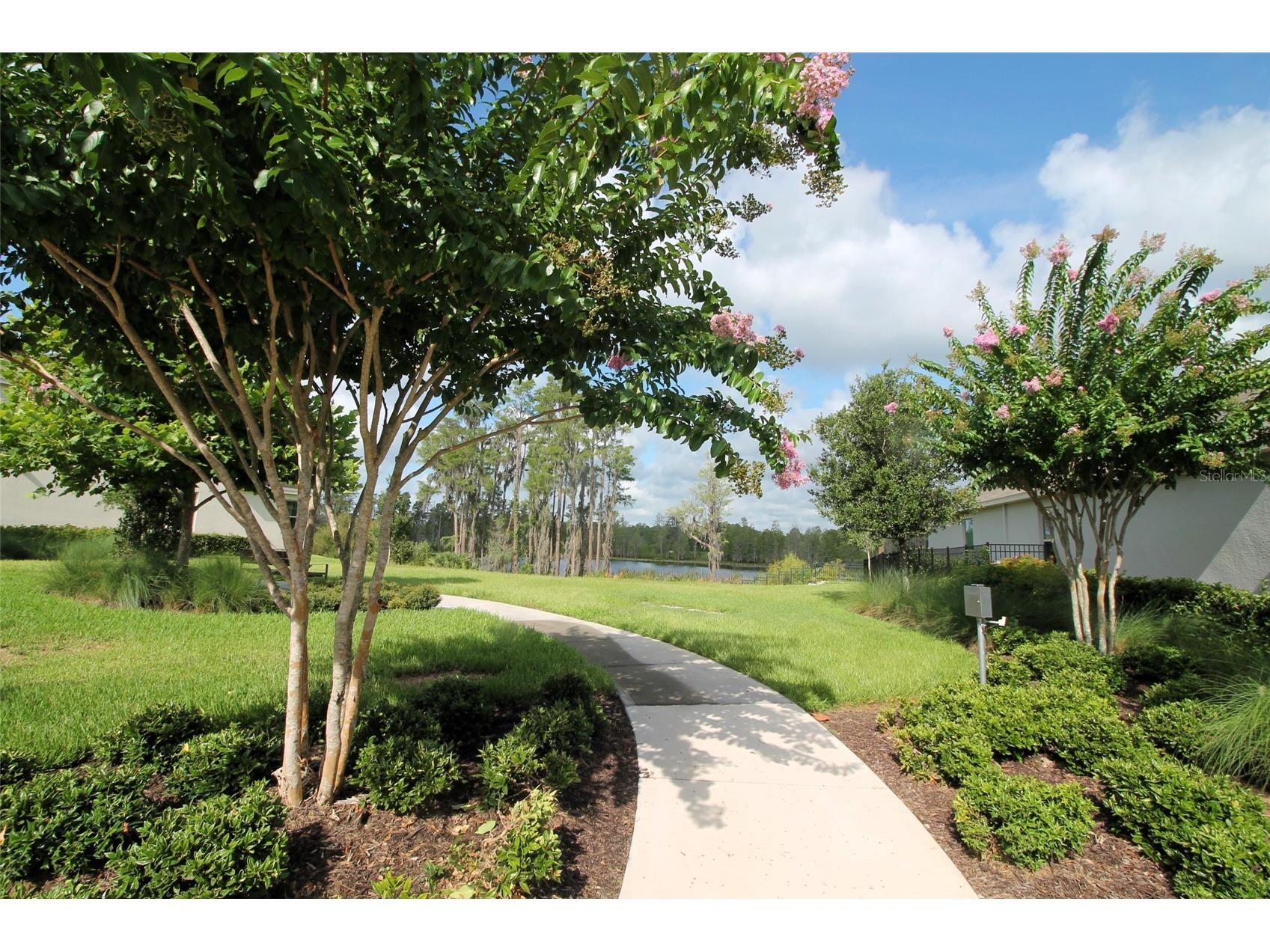 13617 Salamander Street Winter Garden FL 34787 O6391534 image5