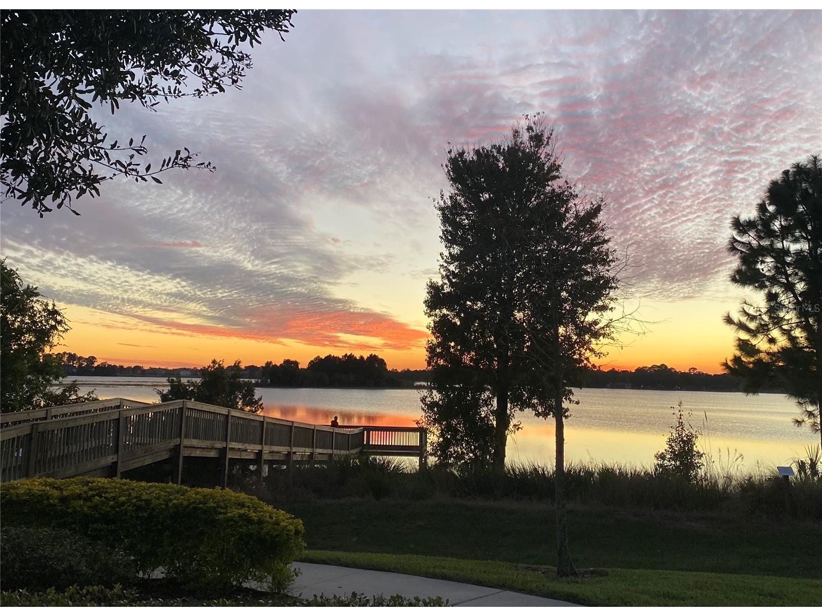 13617 Salamander Street Winter Garden FL 34787 O6391534 image56