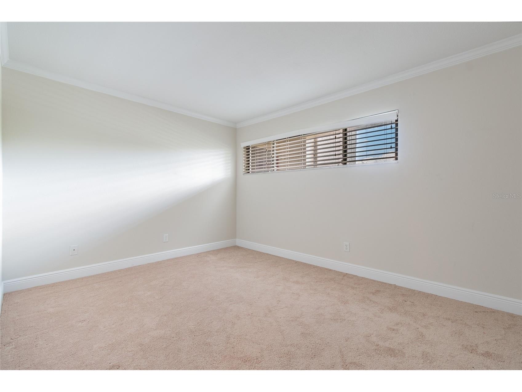 13618 Greenfield #305 Tampa FL 33618 TB8490614 image26