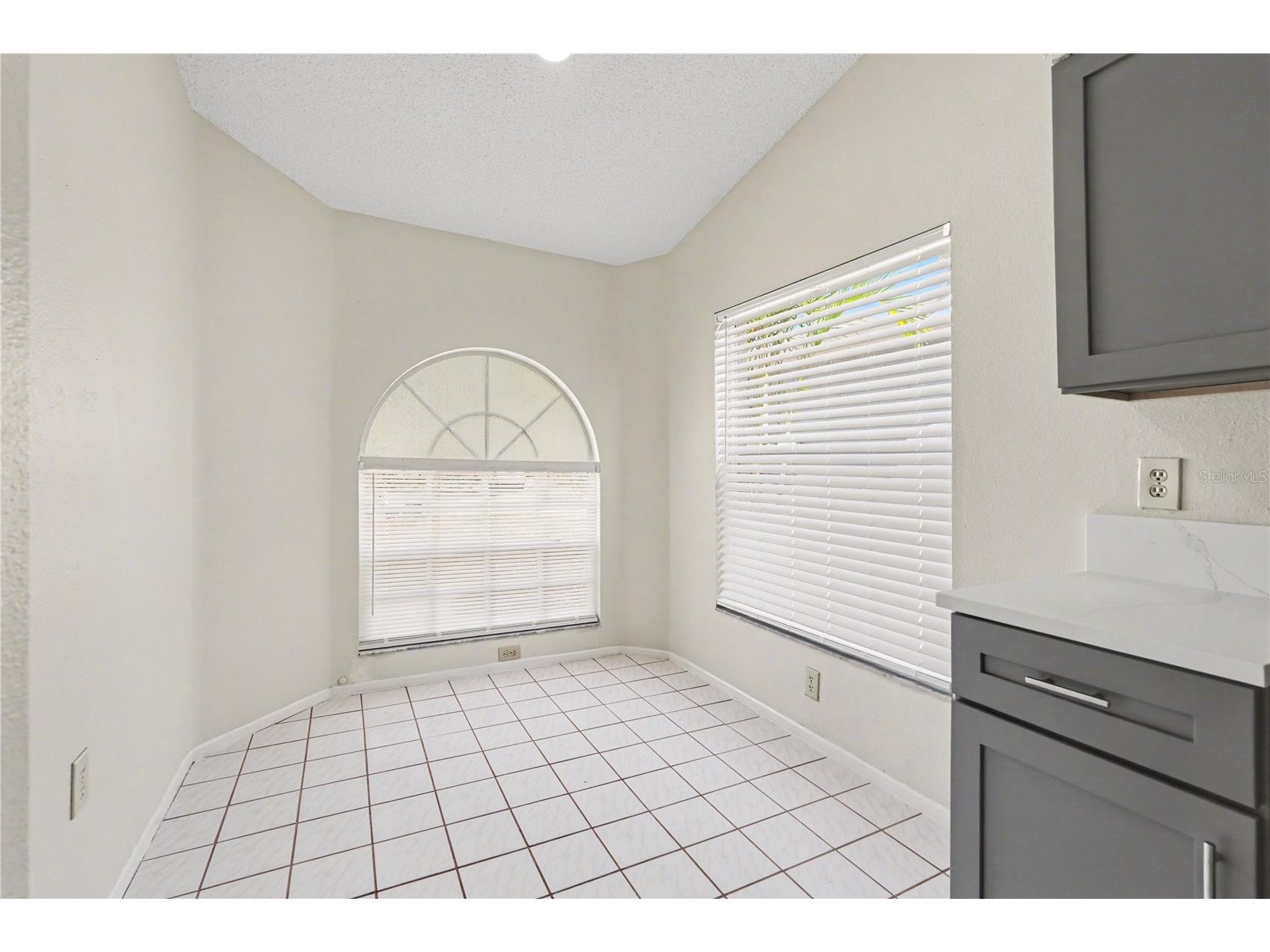 13618 Laraway Drive Riverview FL 33579 TB8501471 image10