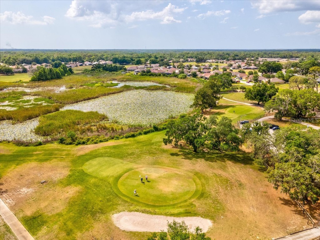 13618 Niti Drive Hudson FL 34669 W7875154 image2