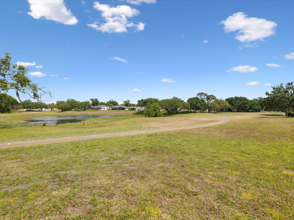 13618 Niti Drive Hudson FL 34669 W7875154 image33