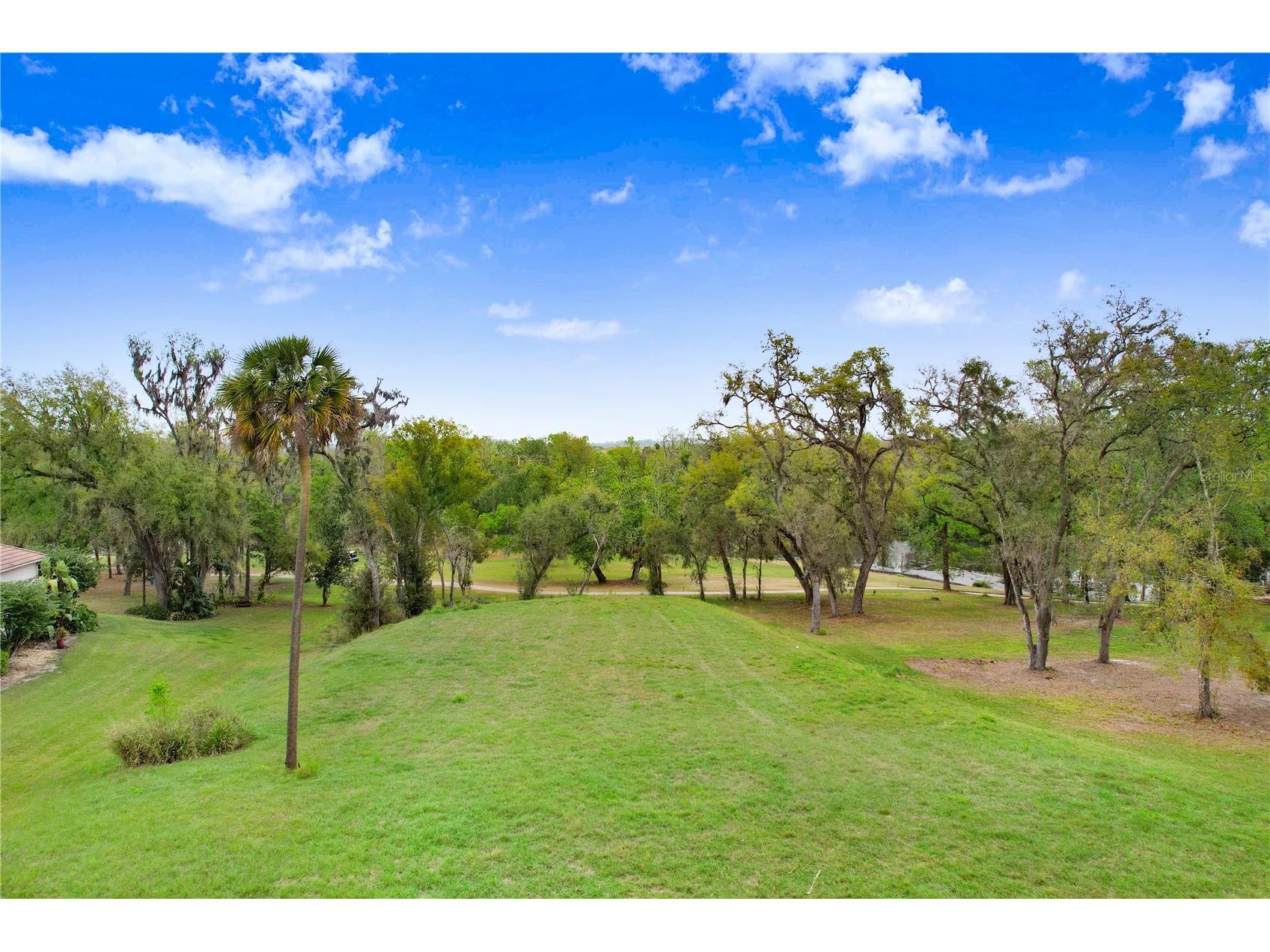 13619 Carnoustie Circle Dade City FL 33525 TB8470951 image1