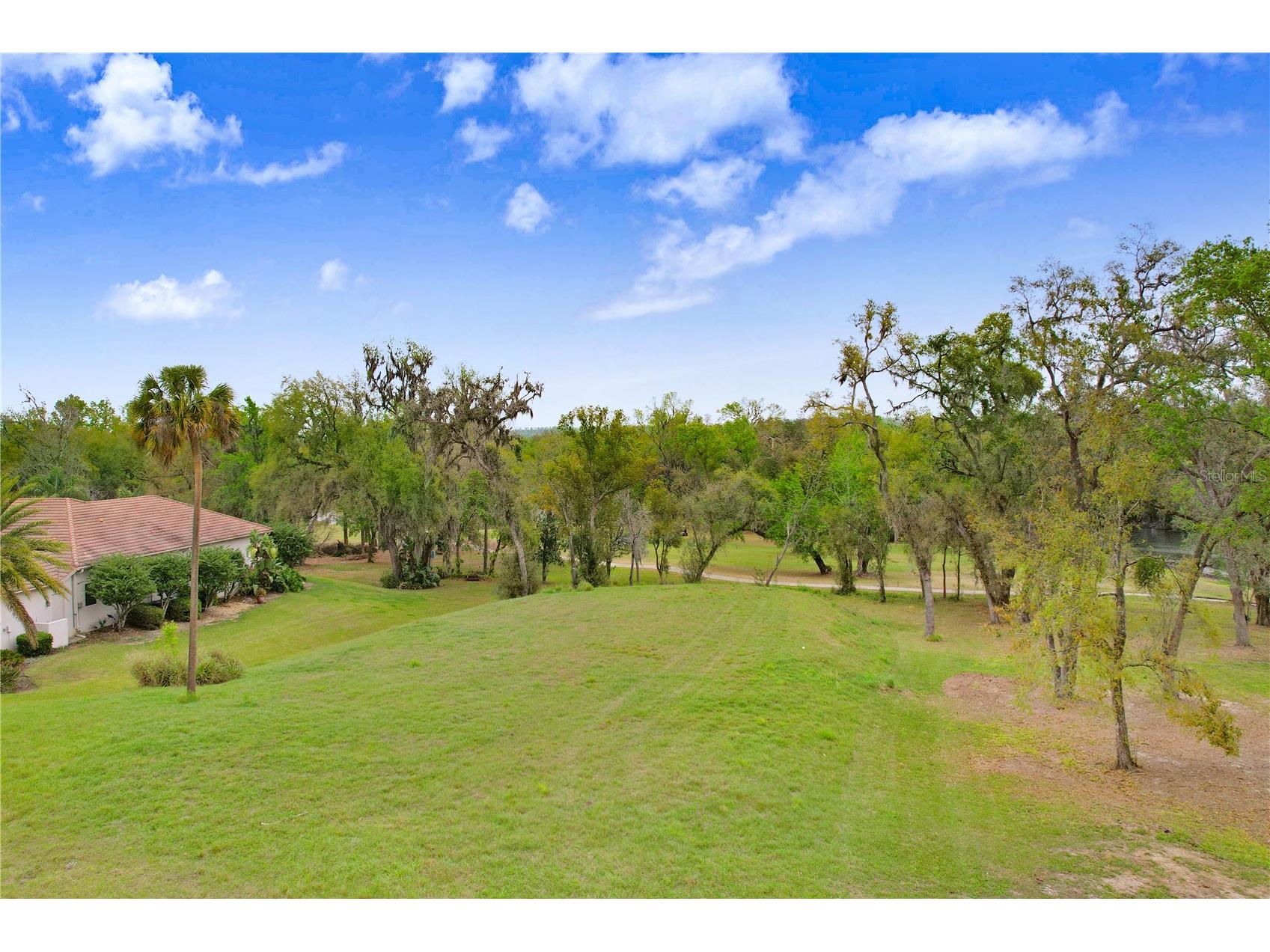 13619 Carnoustie Circle Dade City FL 33525 TB8470951 image2