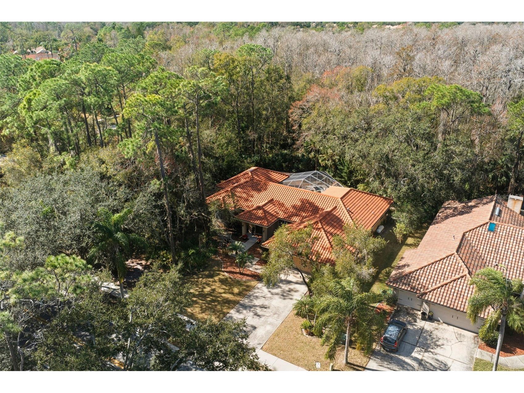 1362 E Lake Woodlands Parkway Oldsmar FL 34677 TB8467569 image40