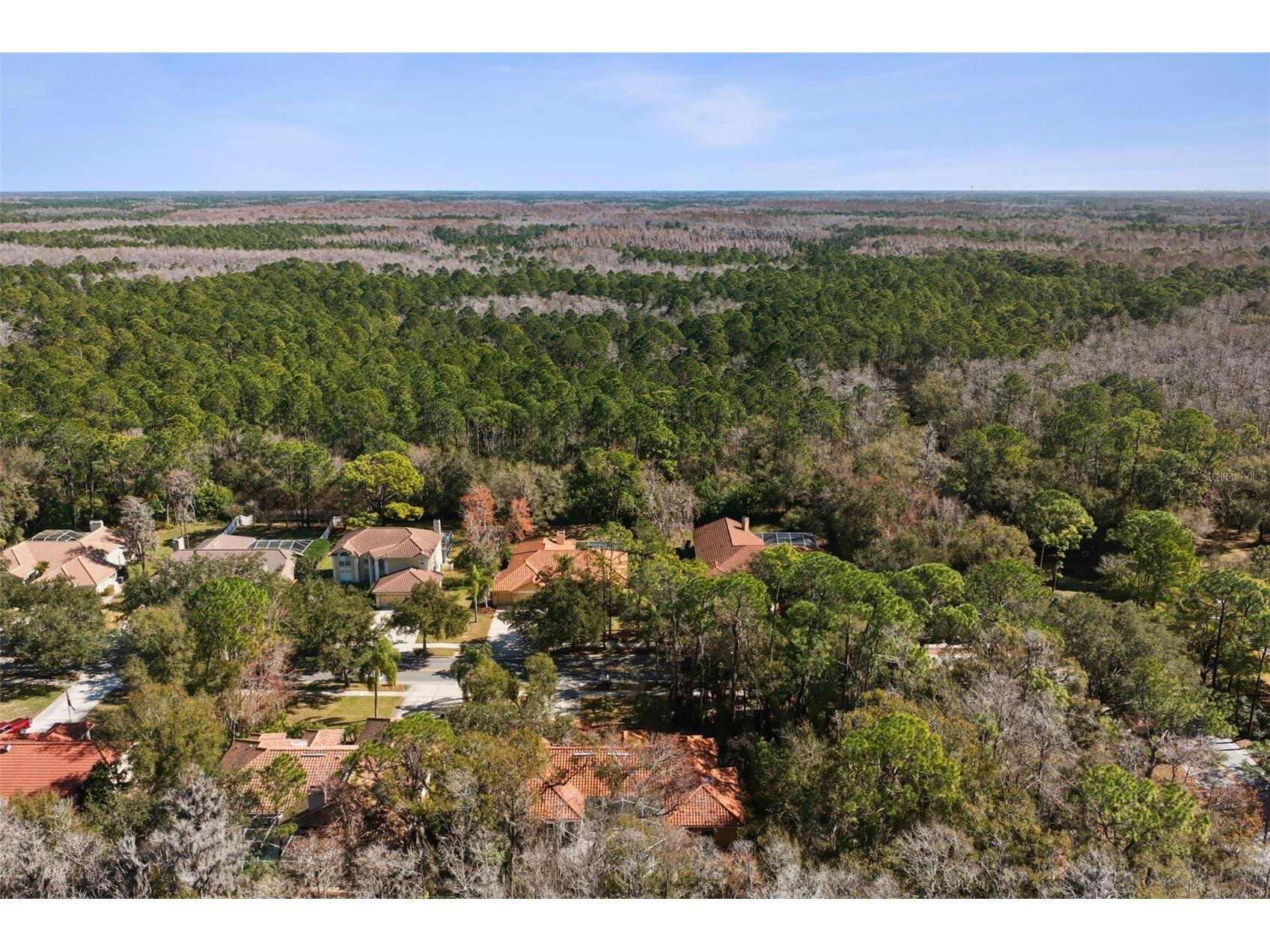 1362 E Lake Woodlands Parkway Oldsmar FL 34677 TB8467569 image43