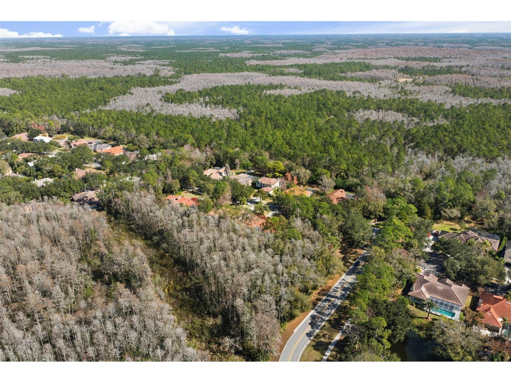 1362 E Lake Woodlands Parkway Oldsmar FL 34677 TB8467569 image44