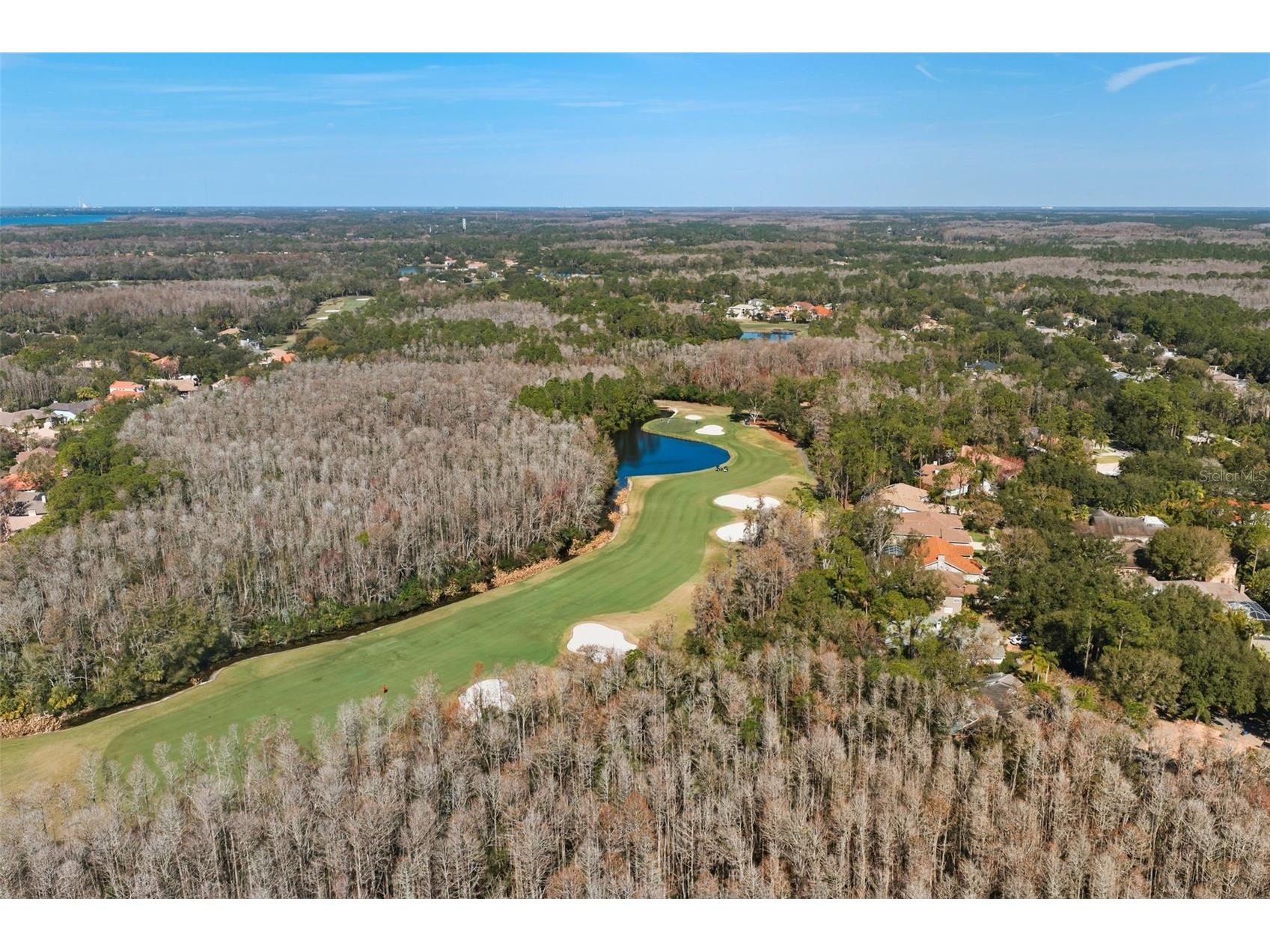 1362 E Lake Woodlands Parkway Oldsmar FL 34677 TB8467569 image45